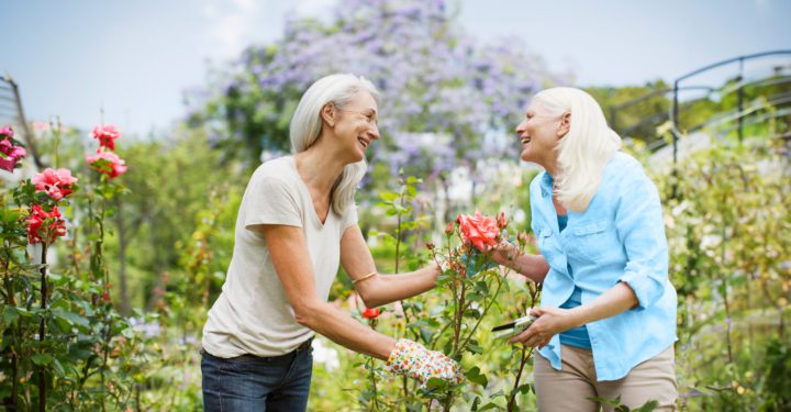 A woman smiles as she hands another woman a pink flower